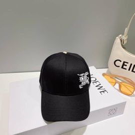 Picture of Burberry Cap _SKUBurberryCapdxn22805